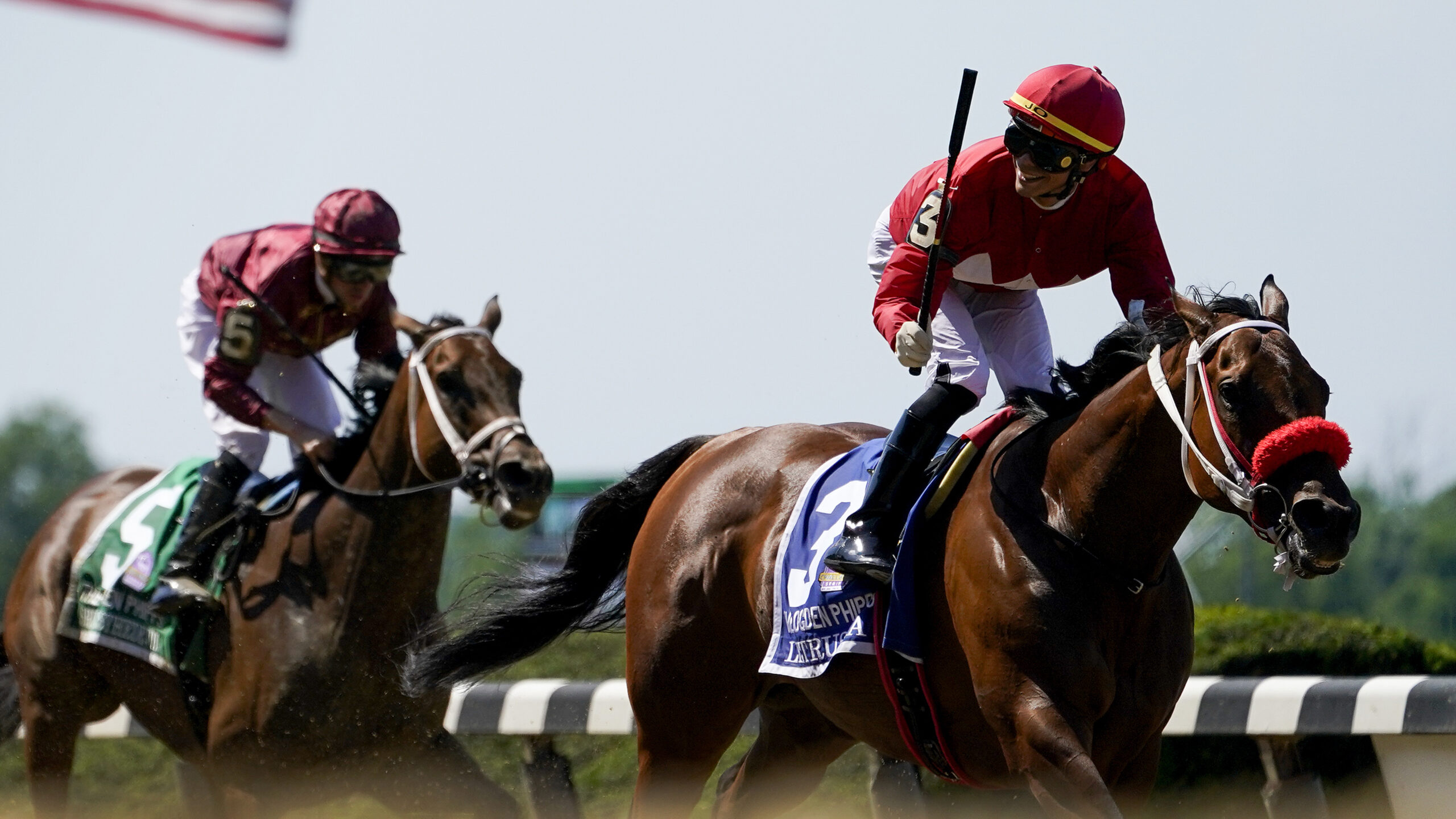 Trke konja ilustracija