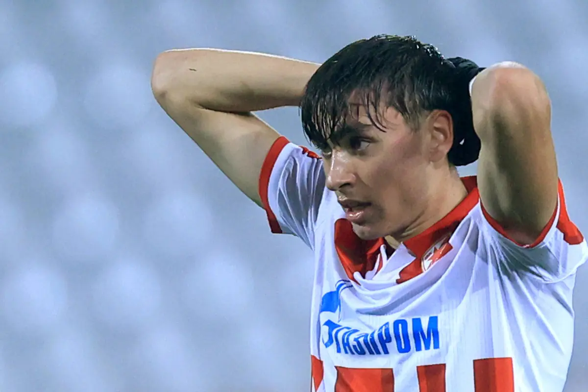 Još jedan rani odlazak sa Marakane: Damjanović ide u Leverkuzen!