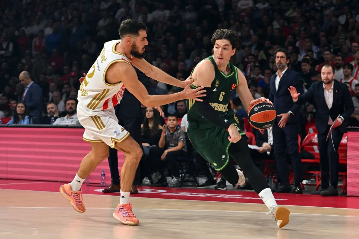 Detalj sa meča Panatinaikos - Crvena zvezda