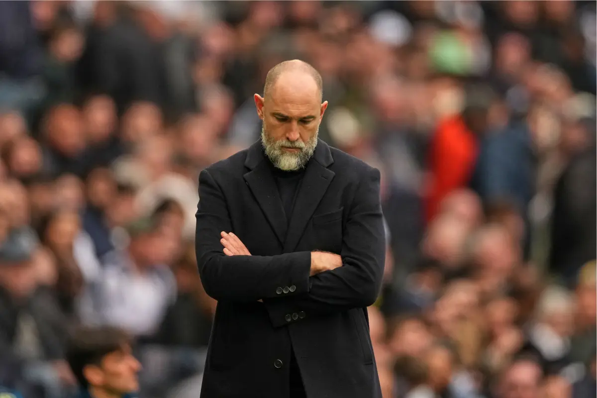 Igor Tudor pored terena