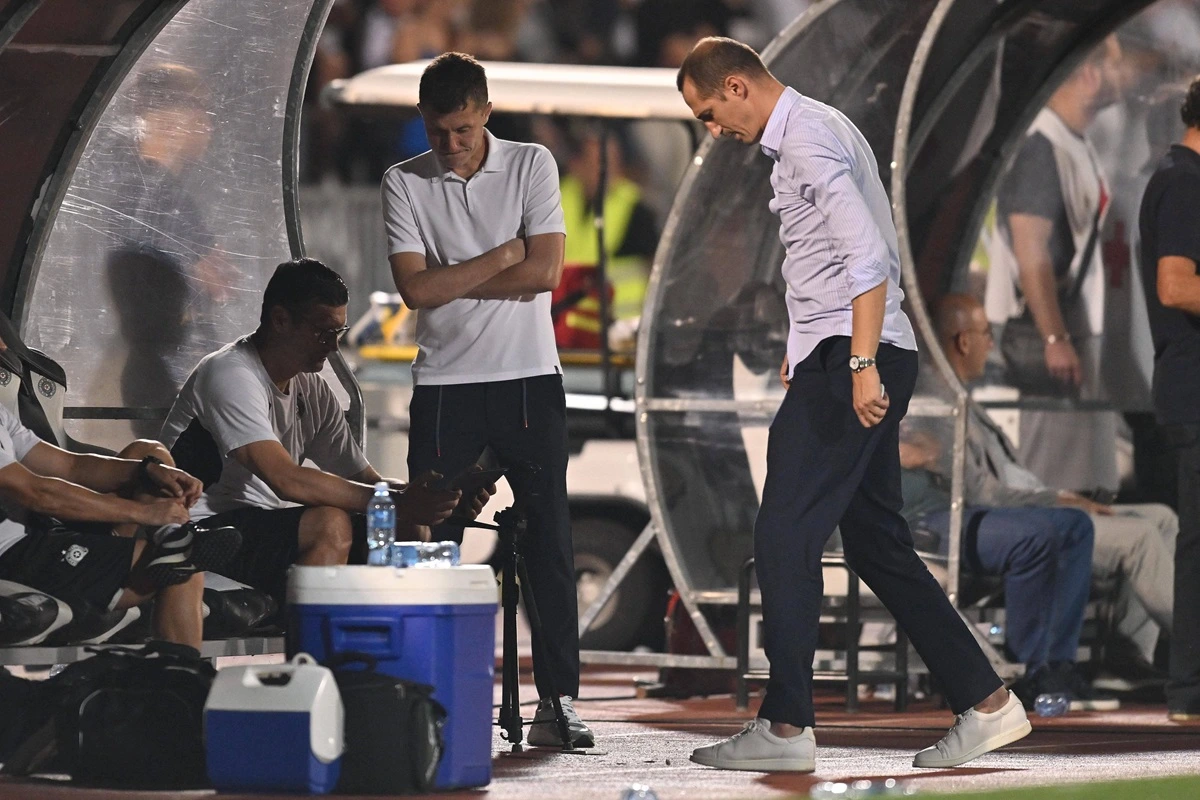 Saša Ilić, Radosav Petrović, FK Partizan