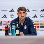 Veljko Paunović, Srbija