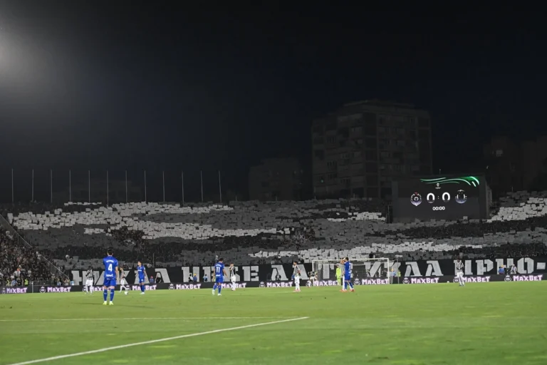 Partizan, Grobari